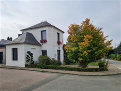 bois-eveque (2)